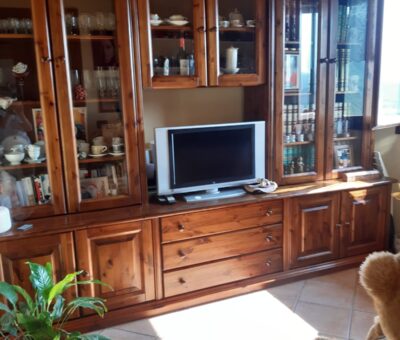 Ampio appartamento in bifamiliare con giardino e box doppio